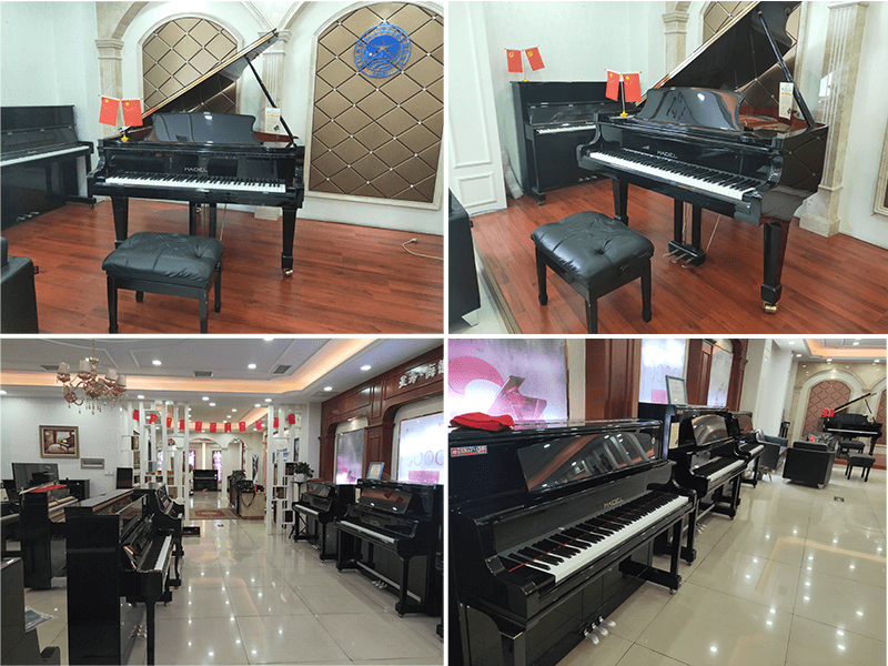 1557299724842033314.png 1557299724842033314.png