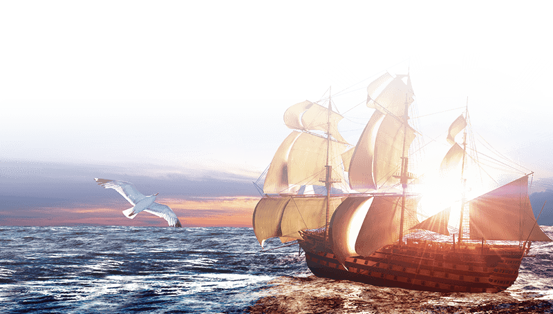 1557712206090006695.png 1557712206090006695.png