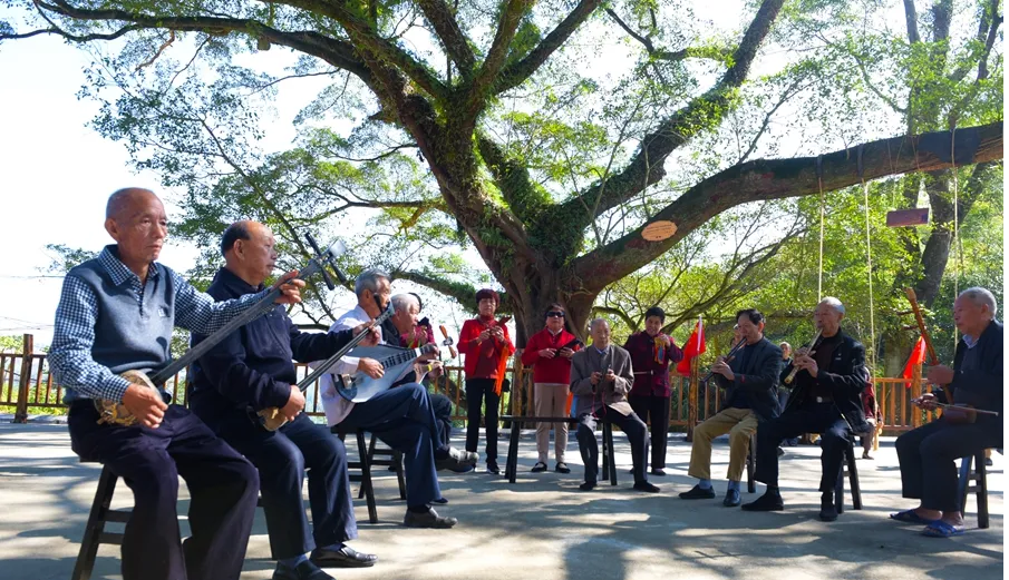 1650598554129061794.png 老年人.png