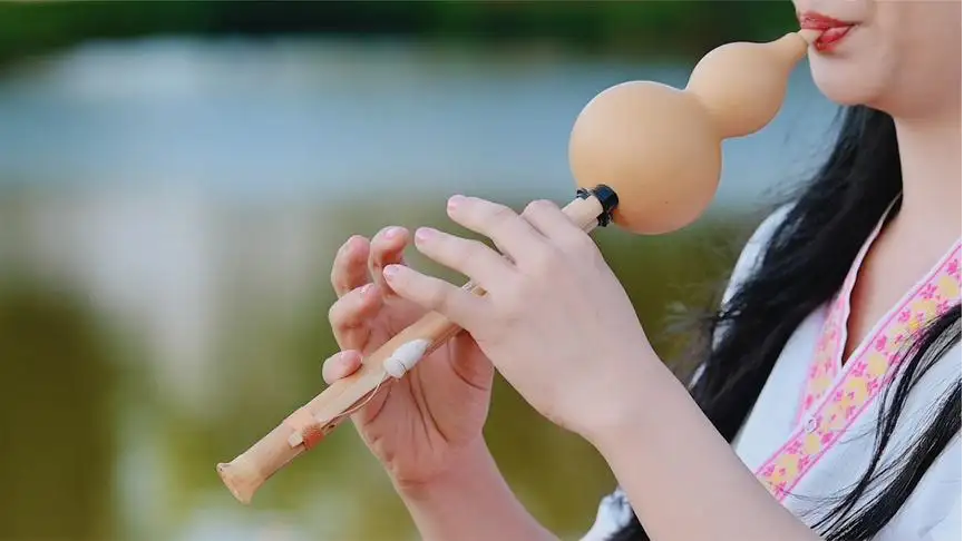 1652335966885085361.png 葫蘆絲.png